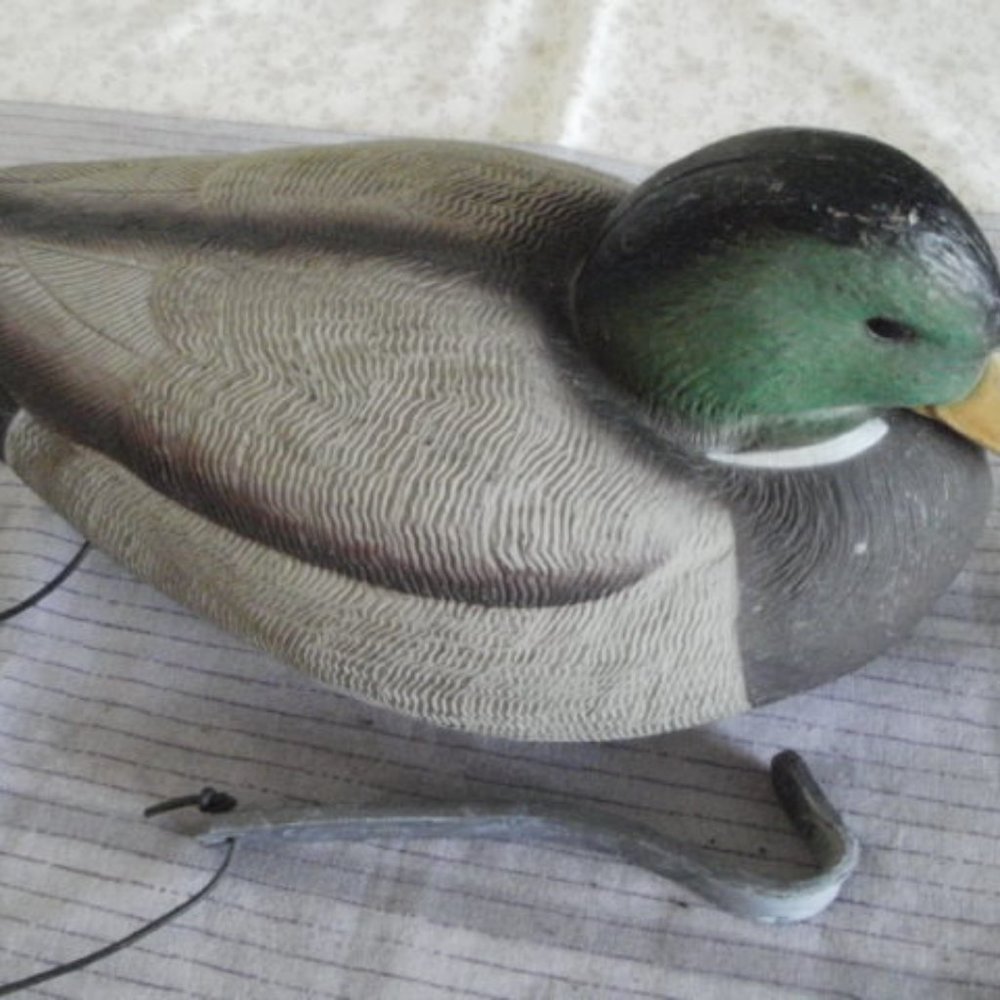 GREENHEAD MALLARE DRAKE DUCK DECOY, WITH IT'S WRAP-AROUND WEIGHT